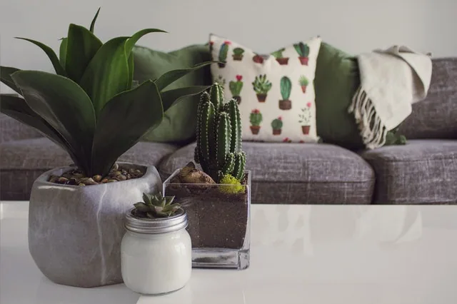 Billease How To Decorate Your Living Room On A Budget