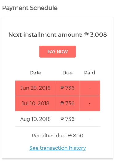Click “Pay Now”